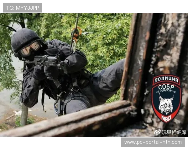 山猫战术执行力获赞，教练组分享视频分析成果